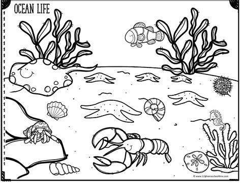 35 best free printable ocean coloring pages online - under the sea ...