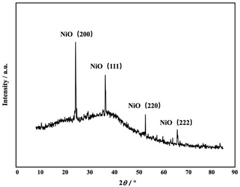 Ginkgo Leaf Inspired Fabrication of Micro/Nanostructures and ...