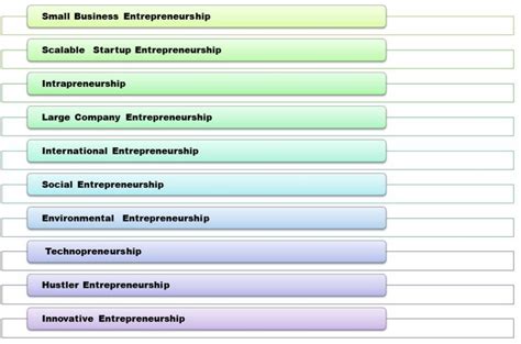 Learn What are the Different Types of Entrepreneurship with Example ...