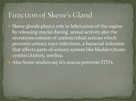 Skene's gland anatomy features and functions | PPTX