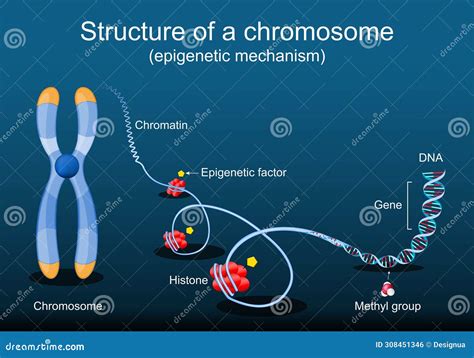 Genome Biology 的图像结果