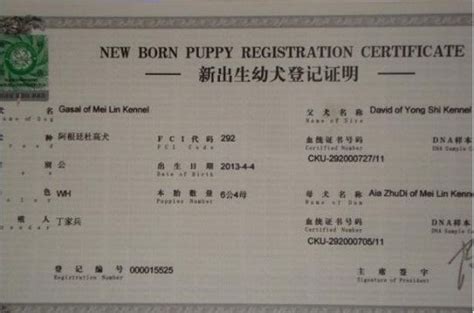秋田犬血统证书-申请流程 - 知乎