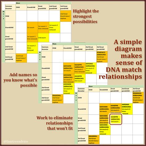 Image result for DNA Match Chart