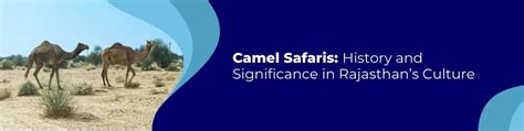Camel Safaris: History and Significance in Rajasthan’s Culture – Desert ...