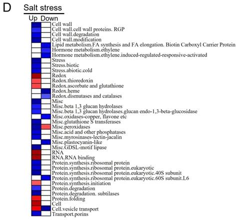 Proteomic Analysis of Alfalfa (Medicago sativa L.) Roots in Response to ...