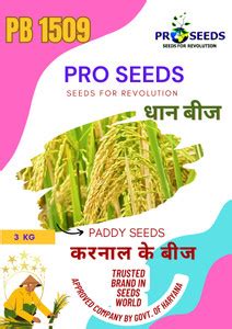 PRO SEEDS Paddy Pusa Bsmati Pb 1509 3 kg highly graded Seed Price in ...