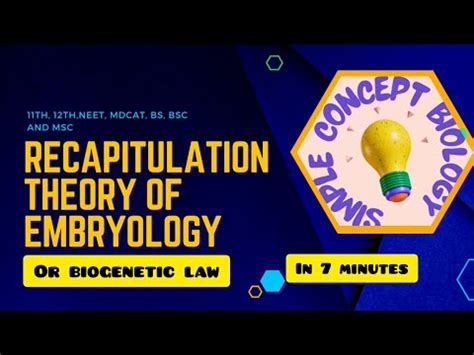 BioGenetic 的图像结果