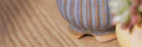 Myosotis.flower - Succulent Plant Potting Workshop - Klook India