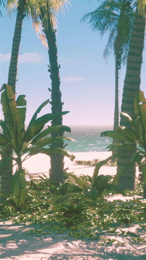 Beach Green screen 的图像结果