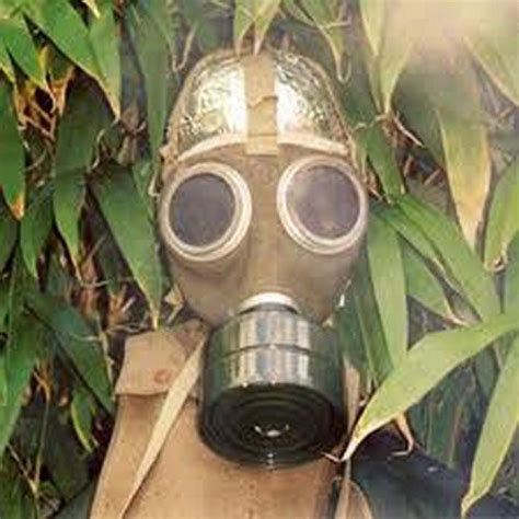 Detoxified: Haystack Balboa: Amazon.in: Music}