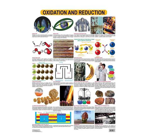 Dreamland Oxidation and Reduction Chart for kids 12Y+, Multicolour