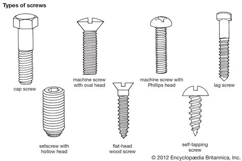 Image result for Machine Screw Types