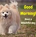 Image result for Good Morning Cute Animals