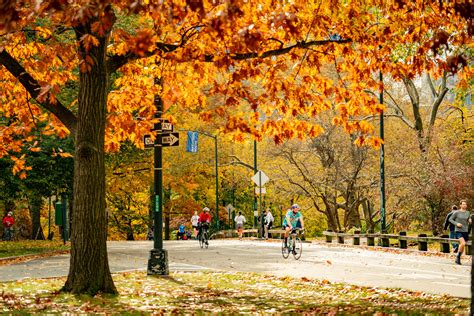 25 FANTASTIC Fall Activities in New York City (Helpful 2023 Guide)