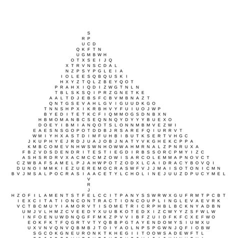 Image result for Muscle Word Search Printable