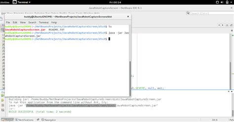 Java Screen Recording 的图像结果