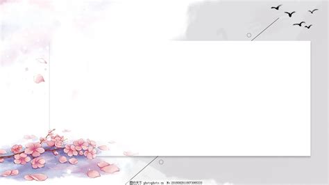 Image result for Nancy First Computer Programmer