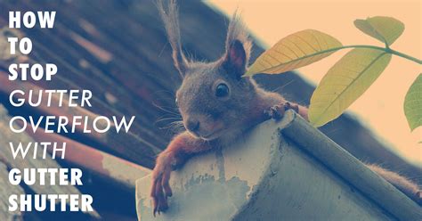 Image result for How to Stop Gutter Overflow When Heavy Tain