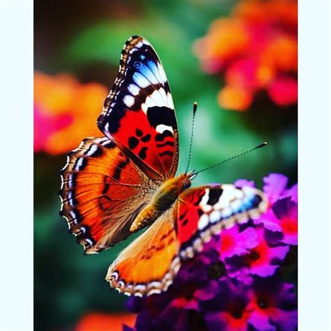 Mia smith (@miasmith6227) • Instagram photos and videos