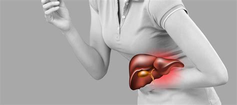 Image result for Liver Function Fuites