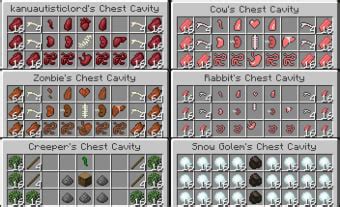 Image result for Minecraft Surgery Mod Review
