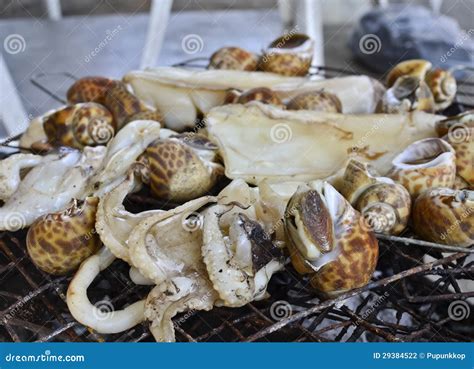 Squid and shellfish grill stock photo. Image of cooked - 29384522
