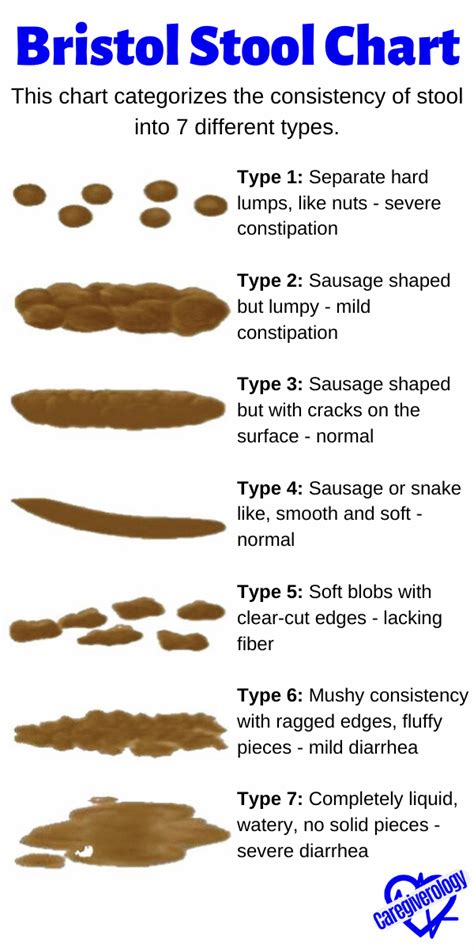 Image result for Normal Bowel Movement Chart