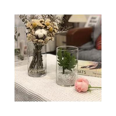 Buy 6 Inches Tall (15 cm) Clear Glass Cylinder vases,Pack of 12 ...