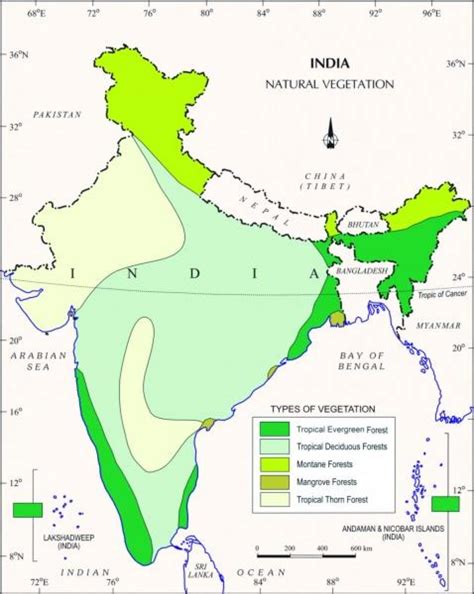 Mangrove forest in India map - Map of mangrove forest in India (Southern Asia - Asia)