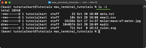 Image result for Mac OS Terminal LS