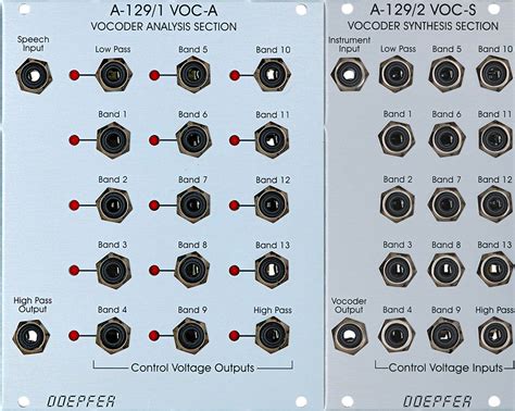 Image result for Doepfer Vocoder