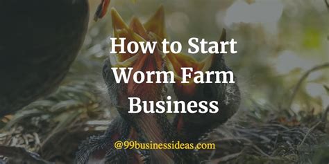 Worm Farm Business 的图像结果