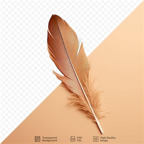 Image result for Paragraph with CSS Feather Example