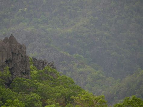 Trip Report – Lao Endemic Mammals – Royle Safaris – April 2023 – Mammal Watching