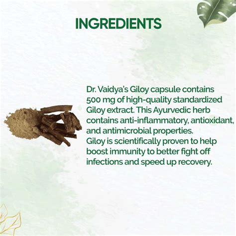 Buy DR VAIDYA'S GILOY -30 CAPSULES - PACK OF 2 Online & Get Upto 60% ...