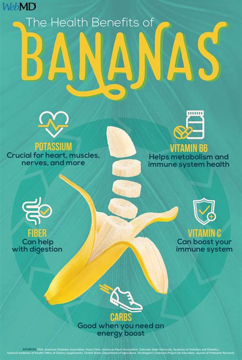 The health benefits of bananas – Artofit