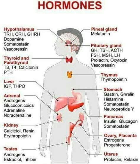 What is hormone? State their functions. - Brainly.in
