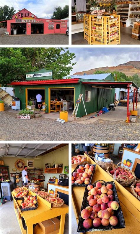 Peach Season 2022 in Grand Junction-Palisade Colorado