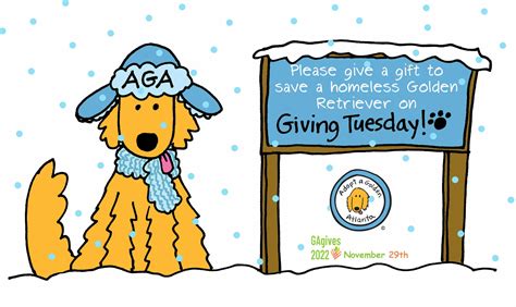 Atlanta's Largest Golden Retriever Rescue - Adopt A Golden Atlanta