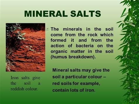 what give red soil there colour - Brainly.in