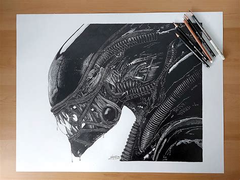 Image result for Alien Dibujo Realista