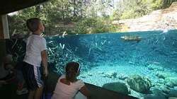 ZooLex Exhibit - Minnesota Trail: Beavers