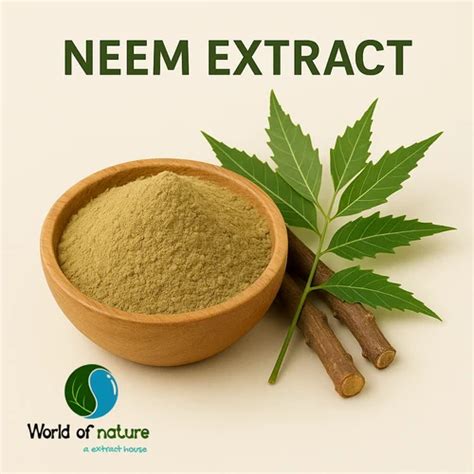 Neem Powder - Neem Leaf Powder Trader - Retailer from Pune