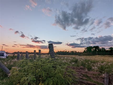 TW Pornstars - Charlie Cruise. Twitter. View from the ducklings gazebo. 3:46 PM - 18 Aug 2022