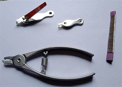 Mouse Ear Punch, Ear Punch, Ear tag & tag applicator (pls Check ...