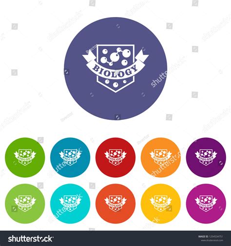 Image result for Evolution Vector