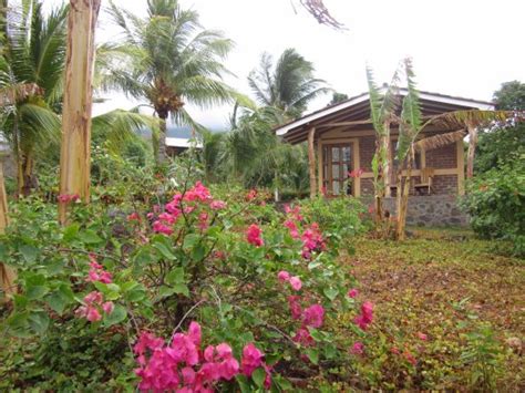 FINCA MONTANIA SAGRADA (Isla de Ometepe) - Guesthouse Reviews, Photos ...