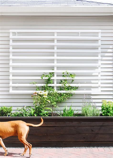 Image result for How to Build a Trellis