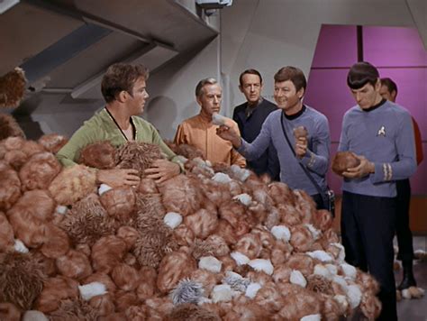 The trouble with tribbles and what to do with their hair from the ...
