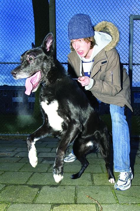 Image result for Reactive Behavior